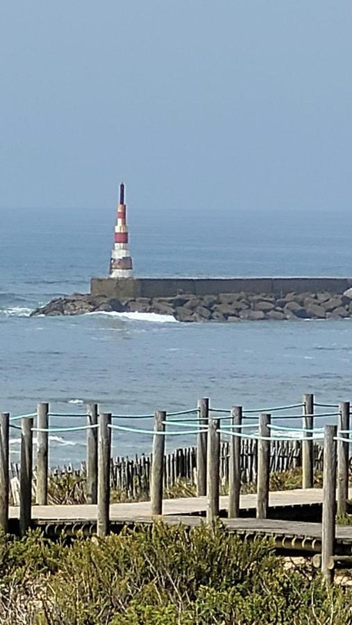 Apartment Aguda Golf Arcozelo (Porto)